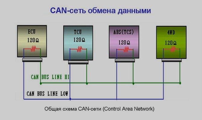 can-shina-block-7724104
